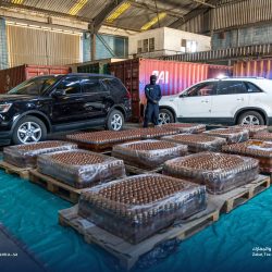 الرئاسة العامة لشؤون المسجد الحرام والمسجد النبوي توزيع 8000 مظلة بالمسجد الحرام ضمن “حملة خدمة معتمرينا شرف لمنسوبينا”