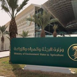 الهلال والاهلي وضمك يحققون المركز الأول لبطولة الكاراتيه الاولمبية