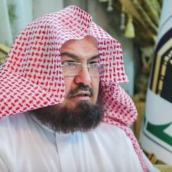  بلدية بيشة تُكثّف أعمال صيانة الإنارة بصيانةِ ٥٢٠ فانوسًا خلال شهر