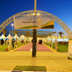 ضبط (5) مخالفين لنظام البيئة في منطقتي مكة والجوف