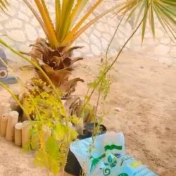 النائب عيسى الدوسري: عودة “حوار المنامة” حضورياً يؤكد نجاح البحرين في تجاوز كافة التحديات