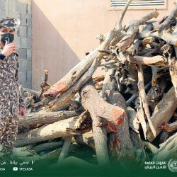 جائزة الملك سلمان والعودة الحضورية للحلقات على طاولة اجتماع مجلس إدارة جمعية تحفيظ القرآن بالباحة