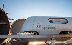 البيئة تعيد تنظيم نقل الدواجن الحية بين مناطق المملكة