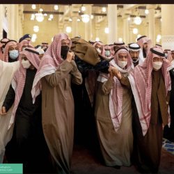 خادم الحرمين يصدر أمرًا ملكيًا بترقية وتعيين 17 قاضيًا بديوان المظالم