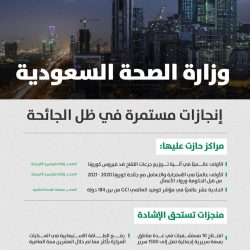 الأمن البيئي تضبط (12) مواطنًا مخالفًا لنظام البيئة لنقلهم وتخزينهم حطبًا محليًا بالرياض