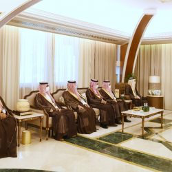  الإحصاء: ارتفاع استخدام السعوديين للإنترنت إلى 92.5 % في 2021