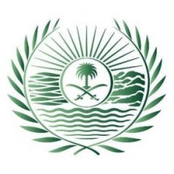 النيابة العامة يُحظر صنع الأسلحة النارية الفردية ومستلزماتها وقطع غيارها وذخائرها