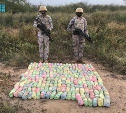 التعاون بين الجامعات والمراكز البحثية وبين الحكومات عامل مهم لضخ الاستثمارات المالية للتنمية المستدامة