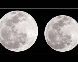 “الدفاع المدني”: 6 نصائح لتفادي أخطار الأمطار والسيول