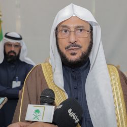 موانئ: إطلاق خدمة شحن ملاحية جديدة بين المملكةوجيبوتي