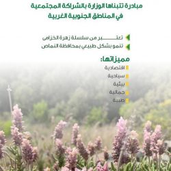 صحة الجوف تنفذ أكثر من 180 مبادرة تطوعية خلال العام الماضي