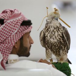 “سلمان للإغاثة” يوزع 17 ألف كرتون تمر في عدة محافظات يمنية