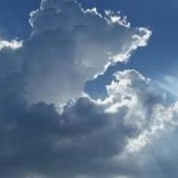 اللجنة الطبية بمهرجان الملك عبدالعزيز للإبل تقوم بجهود كبيرة لكشف أشكال العبث بالإبل