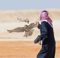 سمو الأمير سعود بن نايف يرعى احتفال غرفة الشرقية غداً