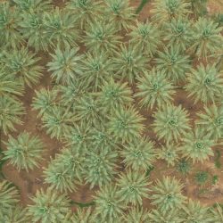 سمو أمير منطقة جازان يدشن حزمة من المشروعات الصحية بالمنطقة ..