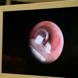 الشمري مديرا لمركز صحي صفوى 