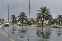 فعالية سردية بصالون فاطمة العلياني الأدبي بسلطنة عمان