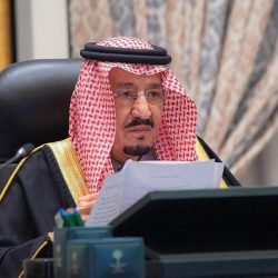 إحباط محاولة ترويج (59,400) قرص خاضع لتنظيم التداول الطبي بالجوف