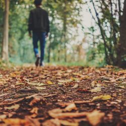 العدل : تفوز بجائزة الحوار الوطني عن مبادرة شمل