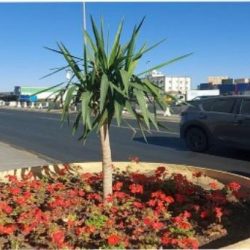 العلا تستضيف “طواف السعودية 2022” للدراجات الهوائية بنسخته الثانية