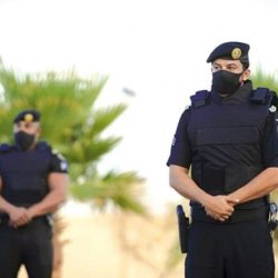 31 مليون نخلة في السعودية.. أمن غذائي وصناعة تحويلية