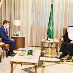 المركز الوطني رأي يوضح الرقم المعتمد لإجراء الاستطلاعات