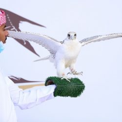 الصحة : تسجيل (46) حالة وتعافي (64) حالة