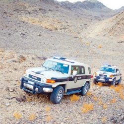 القبض على مخالفين لنظام أمن الحدود نفذوا حوادث جنائية في عسير