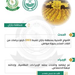 شاهد.. الأمير خالد الفيصل يحضر نهائيات سباق فورمولا 1 في جدة