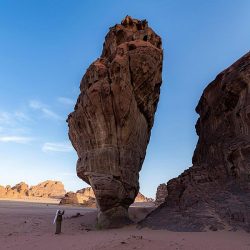 الفضلي يرعى إطلاق ورش عمل دراسات زراعة ١٠ مليارات شجرة والخطة التنفيذية للتشجير ضمن مبادرة السعودية الخضراء