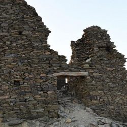 الإحصاء الخليجي: 111.5 مليون جرعة لقاح لمواطني دول التعاون والتعافي بالمملكة 97.7 %