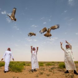 جامعة الجوف تستضيف عمداء ومشرفي تقنية المعلومات بالجامعات السعودية