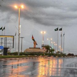 الأمانة العامة للجان الزكوية والضريبية والجمركية” تتبنى خطط تطويرية لمعالجة للدعاوى