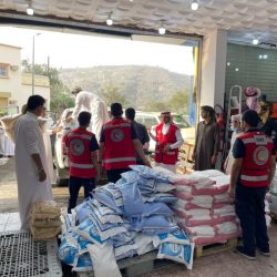 شاهد.. الأمير خالد الفيصل يحضر نهائيات سباق فورمولا 1 في جدة