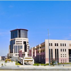 شرطة محافظة جدة تقبض على شخص اعتدى على زوجته بالضرب