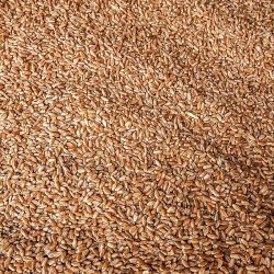 مؤشر سوق الأسهم السعودية يغلق مرتفعًا عند مستوى 13206 نقاط