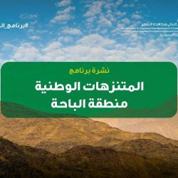 “مدن” تعتمد مشاركات بطولة ألعاب الكريكت وكرة السلة والكرة الطائرة وكرة الريشة بـ 186 فريقاً