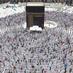 بالصور: أمانة الطائف تضبط مستودعًا لتخزين اللحوم والدجاج الفاسد