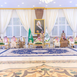 الأمن العام يستعرض جرائم أُلقي القبض على مرتكبيها خلال الأيام الماضية -فيديو