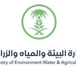 خطبتا الجمعة من المسجد الحرام والمسجد النبوي