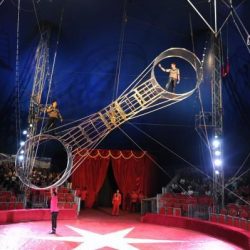 *آل عطيف يعلن عن طرح وزاره البيئه والمياه والزراعه فرص إستثماريه في منطقه جازان *