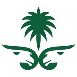 خادم الحرمين الشريفين يصل إلى مكة المكرمة قادماً من جدة