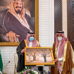 سمو نائب وزير الدفاع يلتقي بدولة رئيس مجلس الوزراء اليمني وأعضاء المجلس