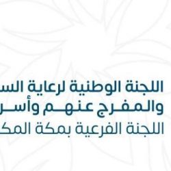 “مدن” تعتمد مشاركات بطولة ألعاب الكريكت وكرة السلة والكرة الطائرة وكرة الريشة بـ 186 فريقاً
