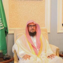 القبض على مواطن ظهر في فيديو يعتدي على امرأة بسلب حقيبتها في الجوف￼