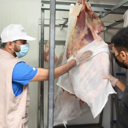 مكافحة المخدرات تحبط محاولة تهريب نحو نصف مليون قرص إمفيتامين مخدر