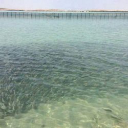 مركز تاريخ الطائف يدشن هويته الجديدة