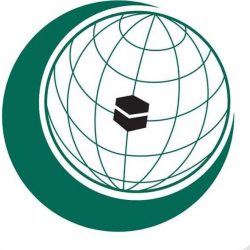 الصحة تعلن عدد الإصابات الجديدة بفيروس كورونا والحالات الحرجة والوفيات