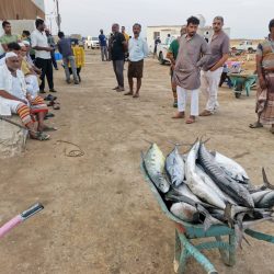 أمير منطقة نجران يُشارك أبناءه الأيتام مأدبة الإفطار