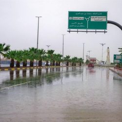 المديرية العامة للجوازات: رفع تعليق السفر بالهوية الوطنية من وإلى دول مجلس التعاون لدول الخليج العربية